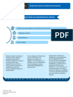 S1.03 Sinteticemos Sobre Los Fundamentos Del Derecho