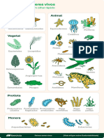 Infografico Seres Vivos