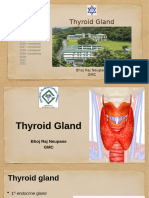 Thyroid