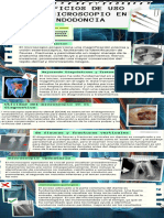 Infografia Endodoncia Microscopica ANGEL DAVID JAIMES LAMPREA OD 211106