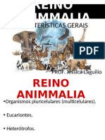 07 Reino Animal