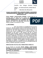 Apelacion de Sentencia - Actos Contra El Pudor - Penal