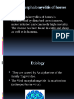 Viral Encephalomyelitis of Horses