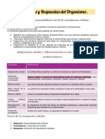 Fisiopato Signos, Síntomas y Respuestas Del Organismo