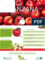 Manzana Danna