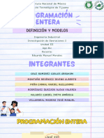 Programación Entera