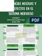 Sustancias Nocivas y Sus Efectos en El Sistema Nervioso