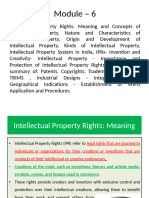 Intellectual Property Rights