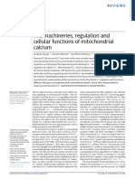 The Machineries, Regulation and Cellular Functions of Mitochondrial Calcium