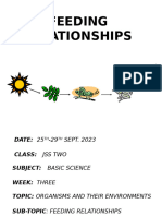 Week 3 B.science Jss 2 Feeding Relationship