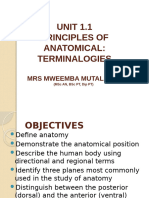 Anatomical Terminalogy - 010639