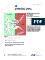 An NAD+ Phosphorylase Toxin Triggers MTB Cell Death