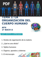 AFH T1 La Organización Del Cuerpo Humano