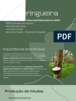 Apresentação Básica Simples Manchas Verde PDF