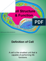 Cell Structure and Function Class 8