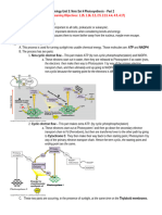 Unit 3 Note Set 4 AP Biology Photosynthesis Part 2