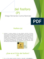 Ciclo Del Fosforo (P)