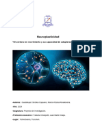 Guada Proyecto Neuroplasticidad