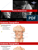 Pared Abdominal