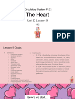 Lesson 9 Circulatory System PT 2 The Heart