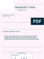 Electron Transport Chain