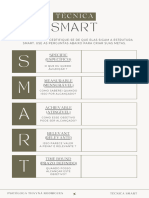 Técnica SMART + Roda Da Vida