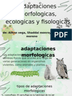 Adaptacion en Animales