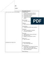 NSE 10 Week 10 Neurological System Notes