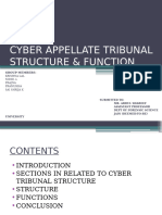 Cyber Appellate Tribunal Structure & Function