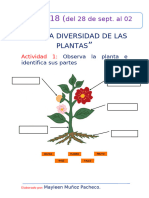 Actividades Semana 18