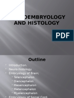 Neuroembryology and Histology