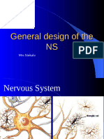 Lecture 1 & 2 CNS Mrs Sinkala