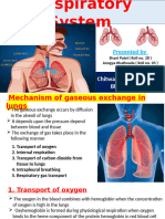 Respiratory System