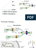 Genetics