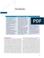 Lees J. Control of The Cell Cycle. Abeloff Onc 2008 1