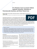 ALS-Associated KIF5A Mutation Causes Locomotor Deficits Associated With Cytoplasmic Inclusions, Alterations of Neuromuscular Junctions, and Motor Neuron Loss