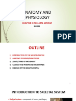 Chapter 7-Skeletal System PDF