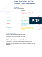 Grade 7 Respiration Revision Worksheet Chapter 1