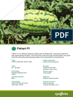 Fahari Watermellon Flyer 2019 Press