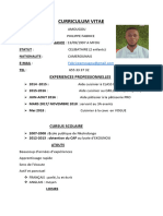 Curriculum Vitae 2