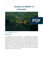 Policy Analysis On REDD+ in Indonesia