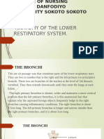 Anatomy of The Lower Respiratory System