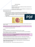 Fisiologia Renal