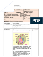 Lesson Plan For Basic 7