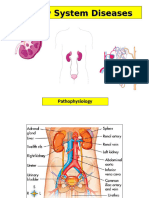 12 PathophysUrinary