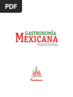 Gastronomia Mexico S