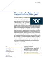 Astragalo Anatomia