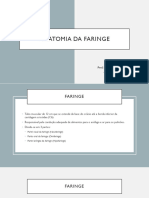 1.anatomia Da Faringe