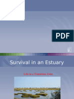 Survival in An Estuary Presentation