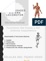 Generalidades Sistema Musculoesqueletico